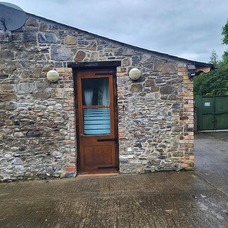 Mount Pleasant Country House Hostal Lucan Exterior foto