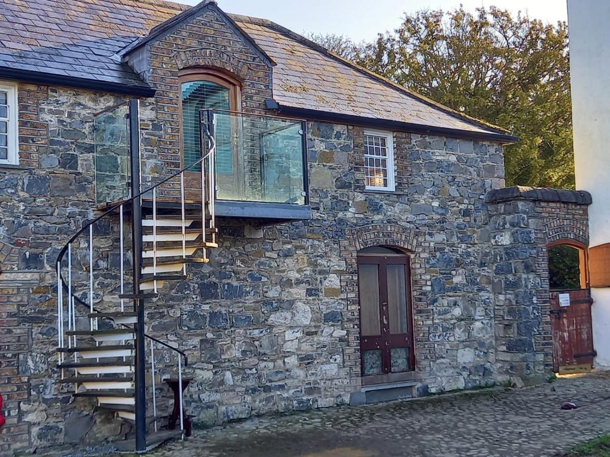 Mount Pleasant Country House Hostal Lucan Exterior foto