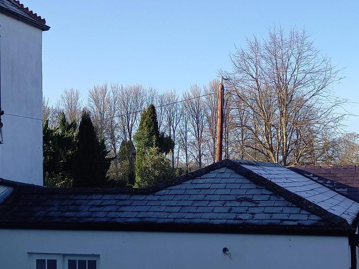 Mount Pleasant Country House Hostal Lucan Exterior foto