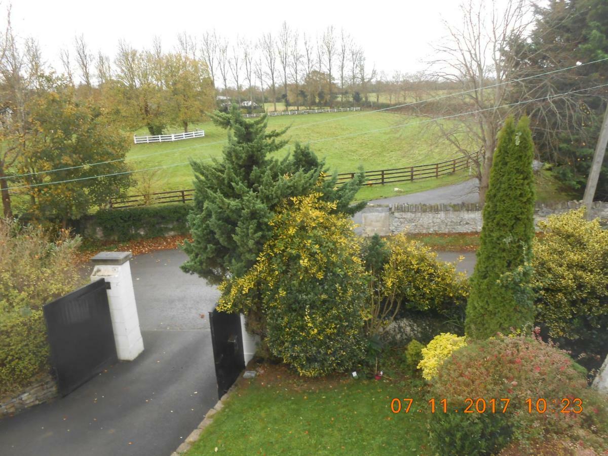 Mount Pleasant Country House Hostal Lucan Exterior foto